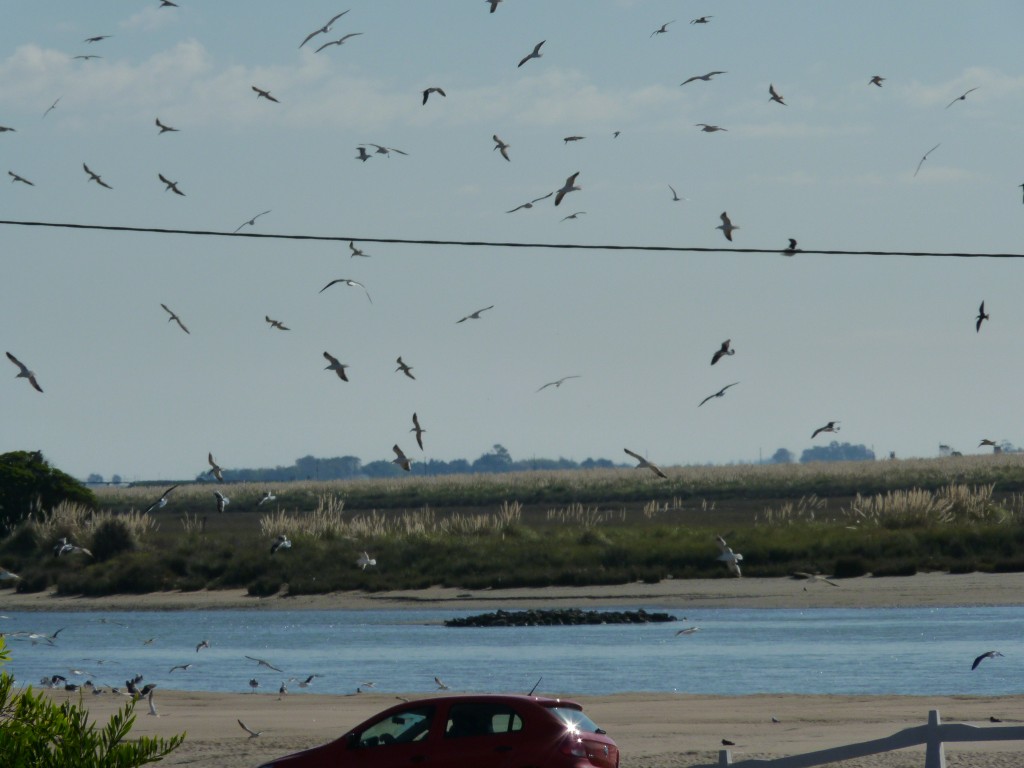 Foto: Balneario - Mar Chiquita (Buenos Aires), Argentina