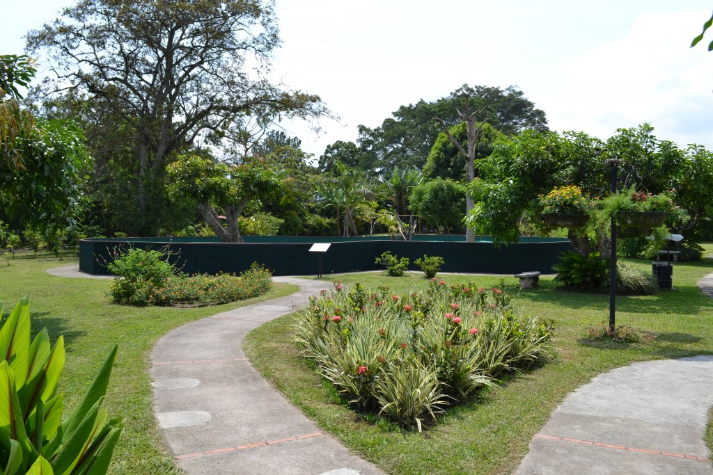 Foto: Terrariun, Jardin De Mariposas - La Garita (Alajuela), Costa Rica