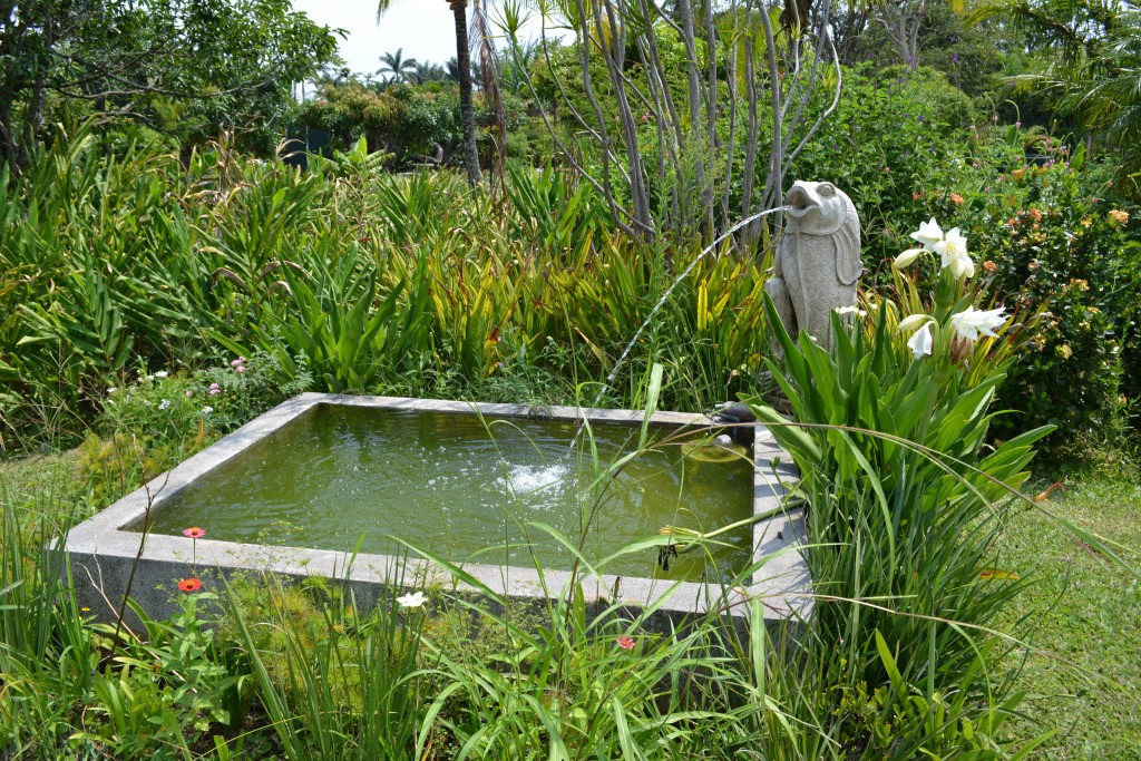 Foto: Terrariun, Jardin De Mariposas - La Garita (Alajuela), Costa Rica