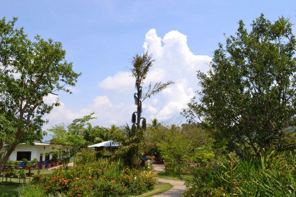 Foto: Terrariun, Jardin De Mariposas - La Garita (Alajuela), Costa Rica