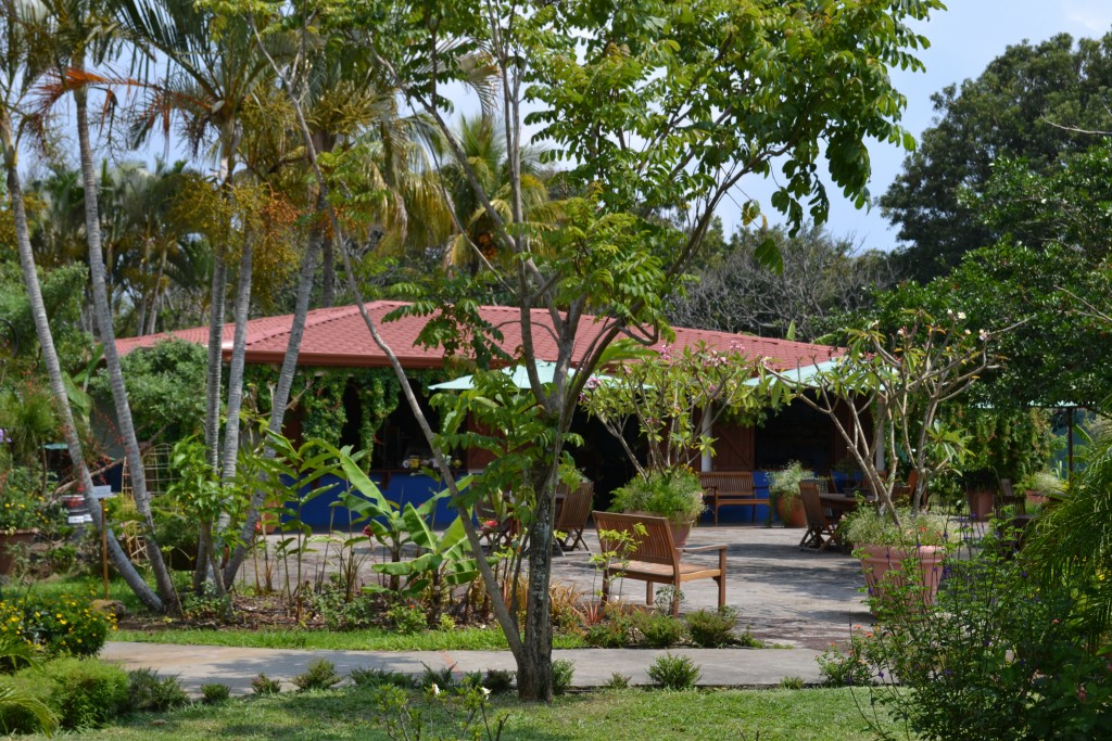 Foto: Terrariun, Jardin De Mariposas - La Garita (Alajuela), Costa Rica