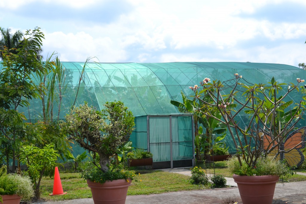 Foto: Terrariun, Jardin De Mariposas - La Garita (Alajuela), Costa Rica