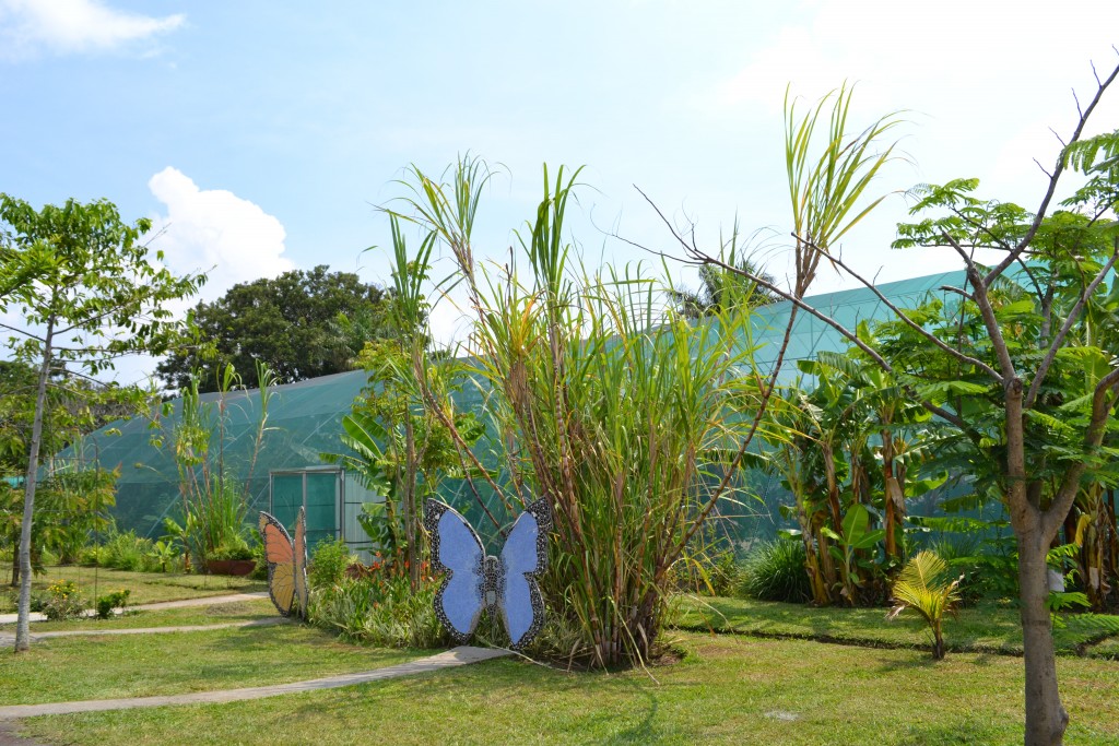 Foto: Terrariun, Jardin De Mariposas - La Garita (Alajuela), Costa Rica