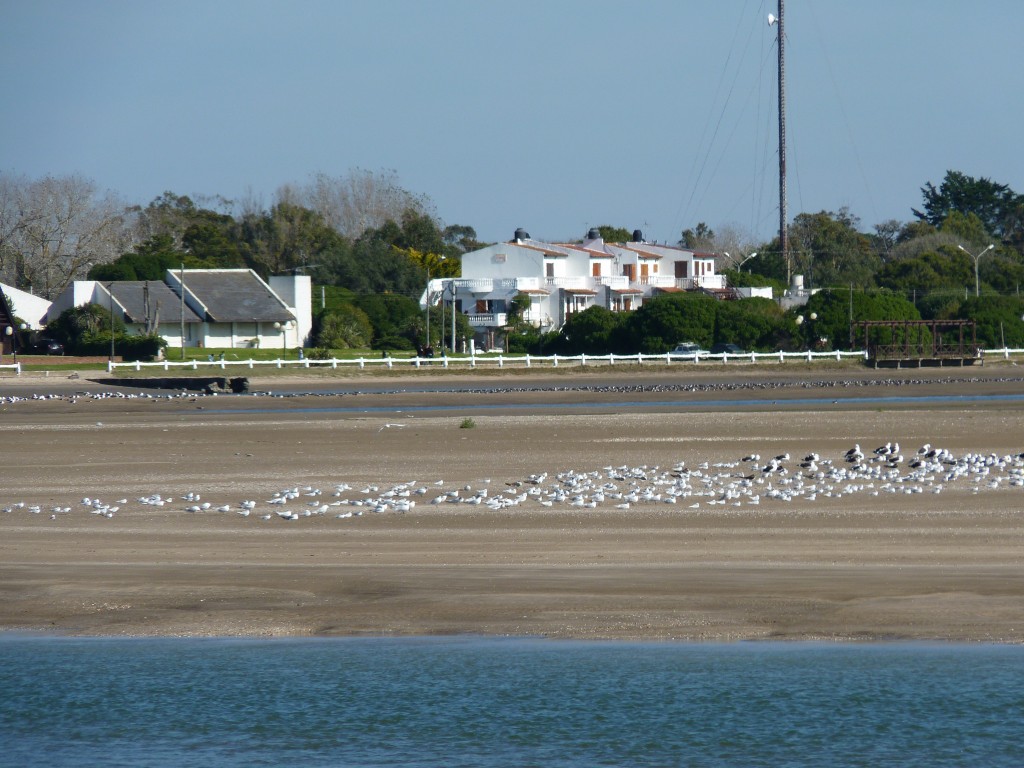 Foto: Balneario - Mar Chiquita (Buenos Aires), Argentina