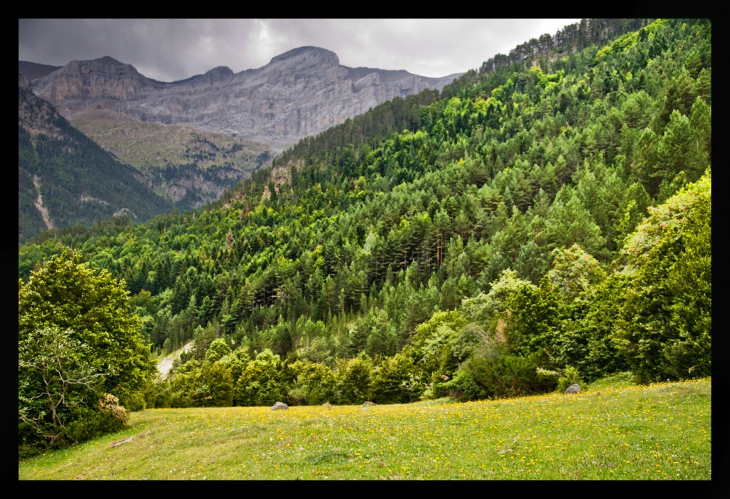 Foto de Piineo Aragones (Huesca), España