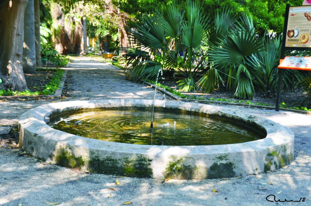 Foto: Fuente - Valencia (València), España