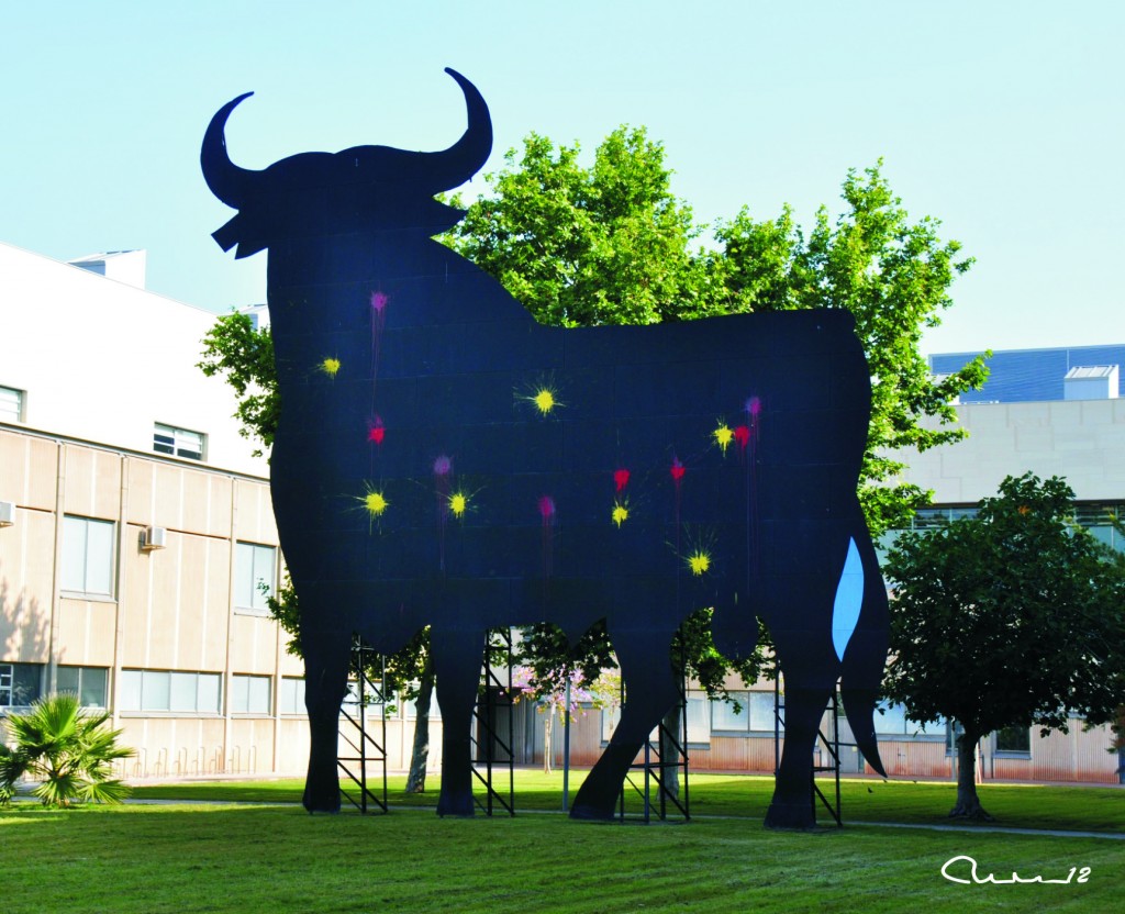 Foto: Toro - Valencia (València), España