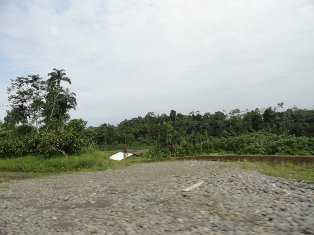 Foto: Poblacion - El Sacha (Orellana), Ecuador