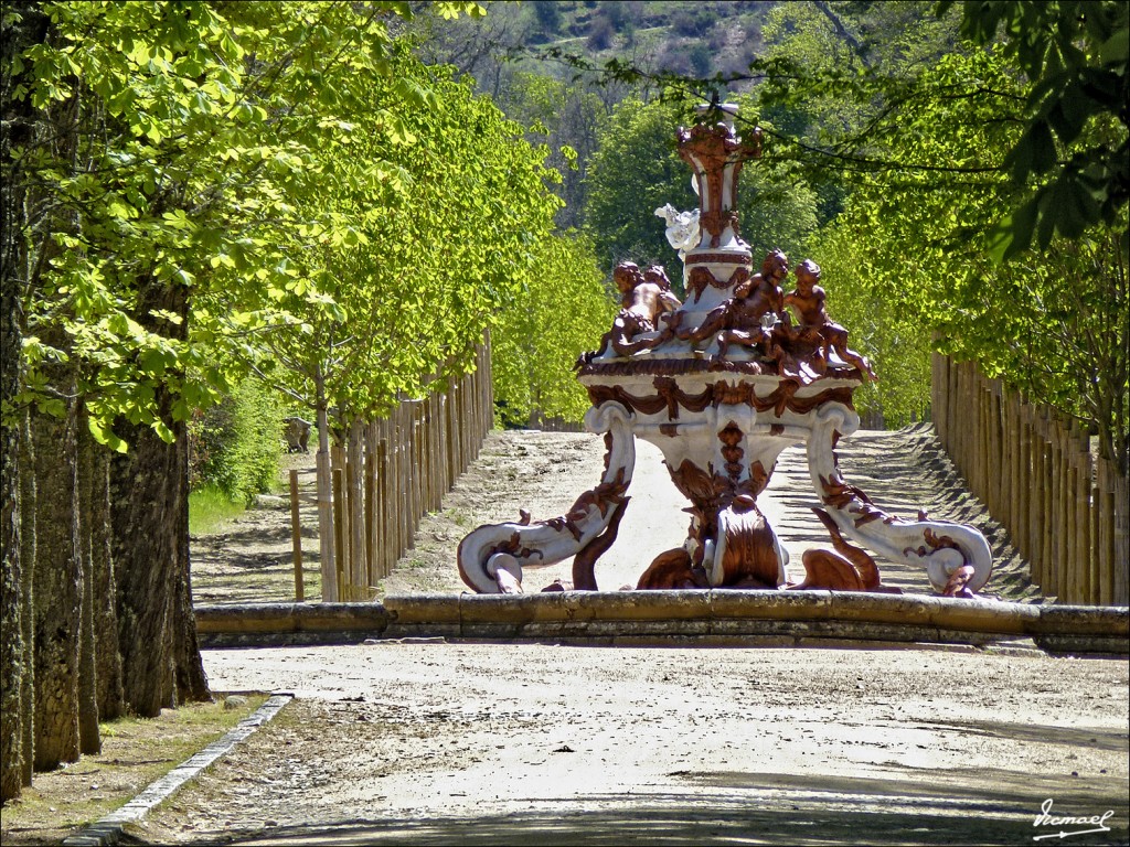 Foto: 120510-064 LA GRANJA - La Granja (Segovia), España