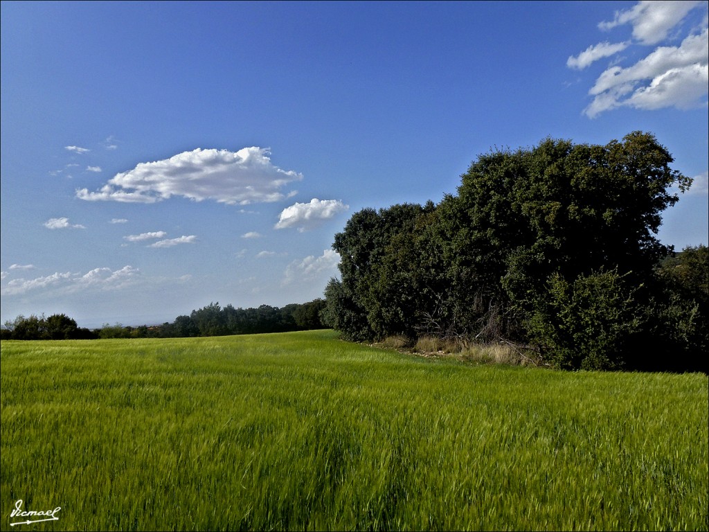 Foto: 120518-06 ALCONCHEL DE ARIZA - Alconchel De Ariza (Zaragoza), España