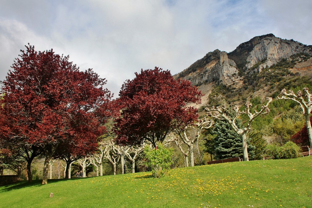 Foto: Monasterio de Leyre: alrededores - Yesa (Navarra), España