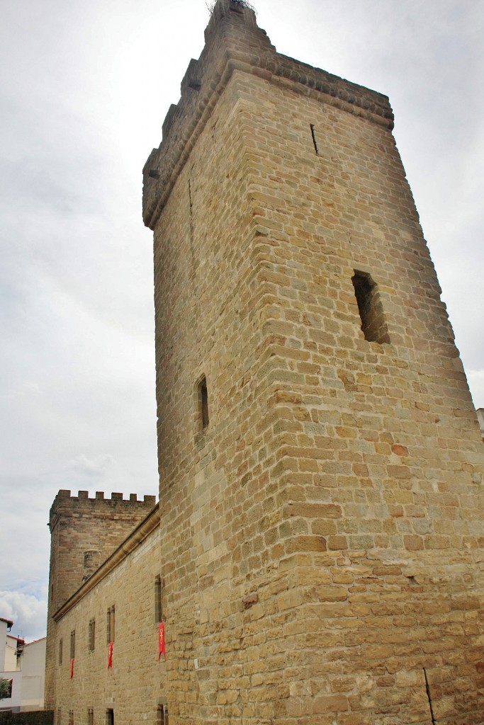 Foto: Palacio del Principe de Viana - Sangüesa (Navarra), España