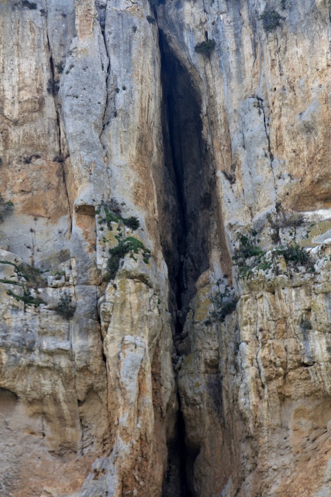 Foto: Foz de Lumbier - Lumbier (Navarra), España