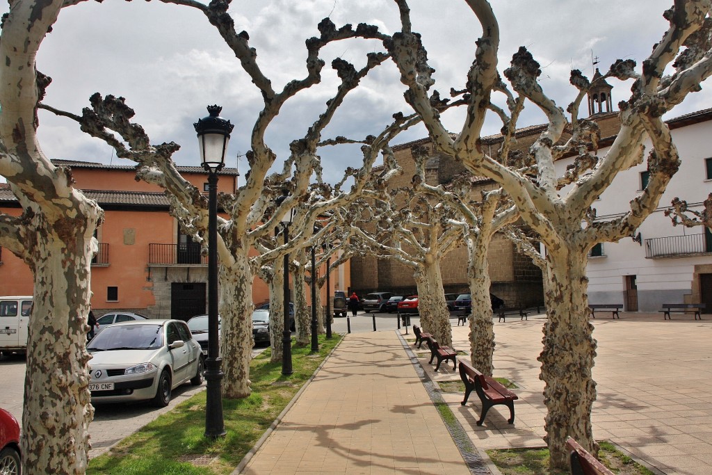 Foto: Vista de la villa - Lumbier (Navarra), España