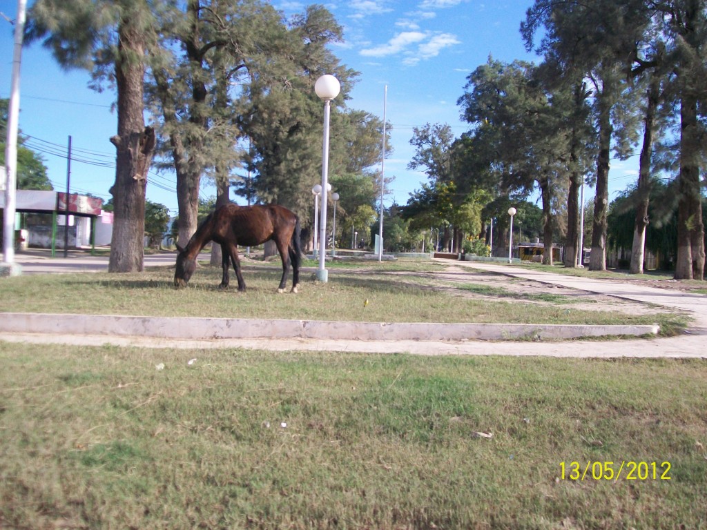 Foto: Callesitas - Pirané (Formosa), Argentina