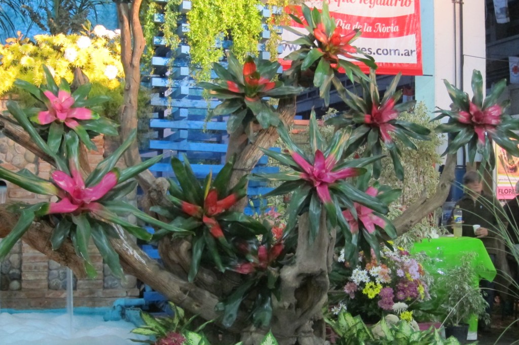 Foto: Buenos Aires en Flor: 2da. Exposición - Ciudad de Buenos Aires (Buenos Aires), Argentina