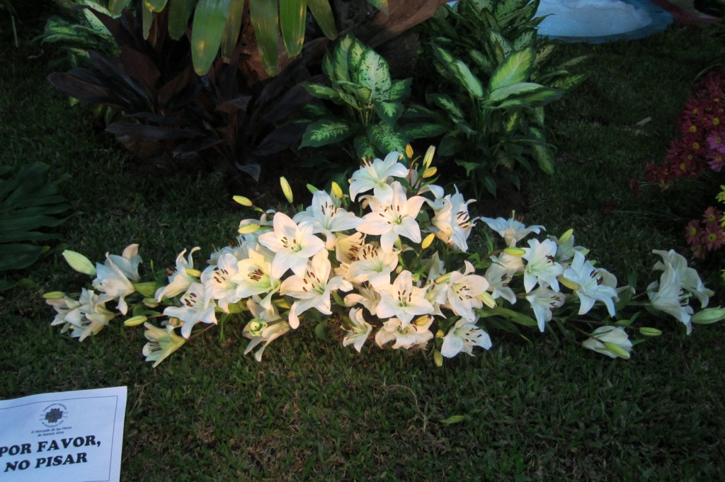 Foto: Buenos Aires en Flor: 2da. Exposición - Ciudad de Buenos Aires (Buenos Aires), Argentina