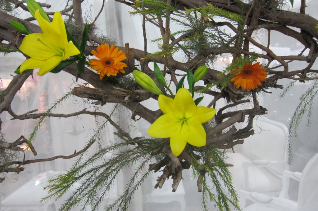 Foto: Buenos Aires en Flor: 2da. Exposición - Ciudad de Buenos Aires (Buenos Aires), Argentina