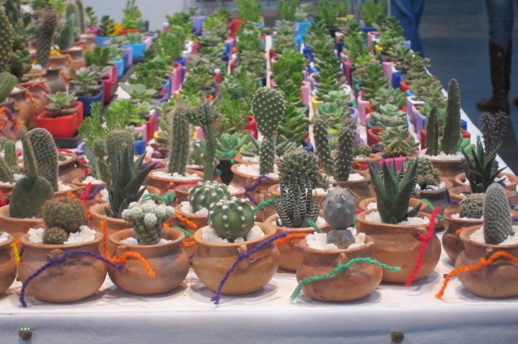 Foto: Buenos Aires en Flor: 2da. Exposición - Ciudad de Buenos Aires (Buenos Aires), Argentina