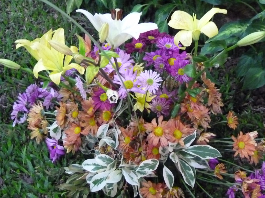 Foto: Exposición floral - Ciudad de Buenos Aires (Buenos Aires), Argentina