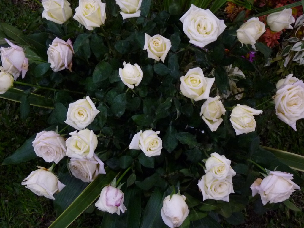 Foto: Exposición floral - Ciudad de Buenos Aires (Buenos Aires), Argentina