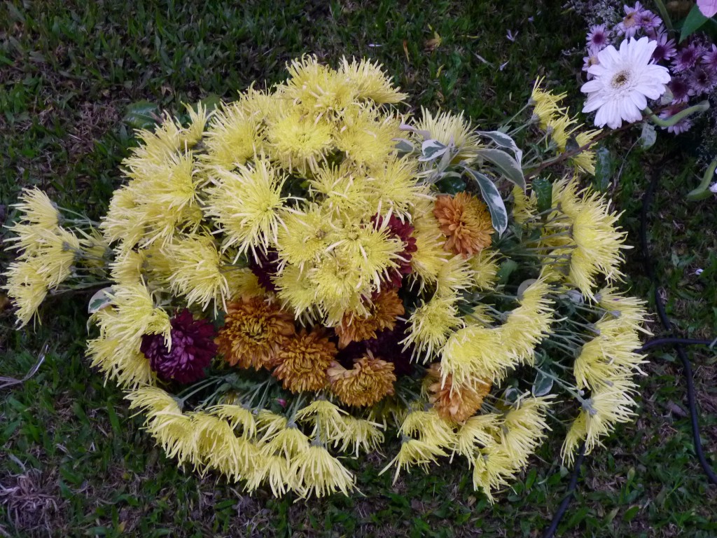 Foto: Exposición floral - Ciudad de Buenos Aires (Buenos Aires), Argentina