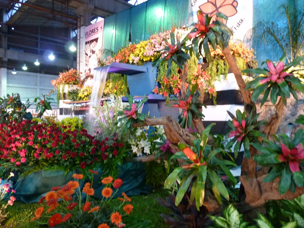 Foto: Exposición floral - Ciudad de Buenos Aires (Buenos Aires), Argentina