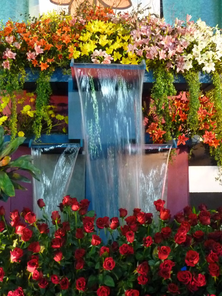 Foto: Exposición floral - Ciudad de Buenos Aires (Buenos Aires), Argentina