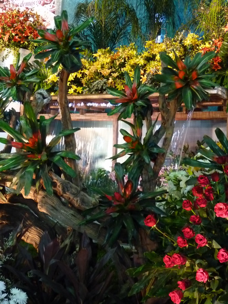 Foto: Exposición floral - Ciudad de Buenos Aires (Buenos Aires), Argentina