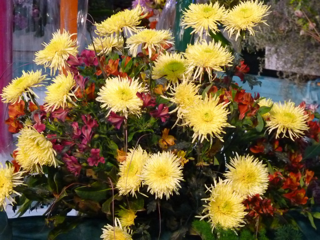 Foto: Exposición floral - Ciudad de Buenos Aires (Buenos Aires), Argentina