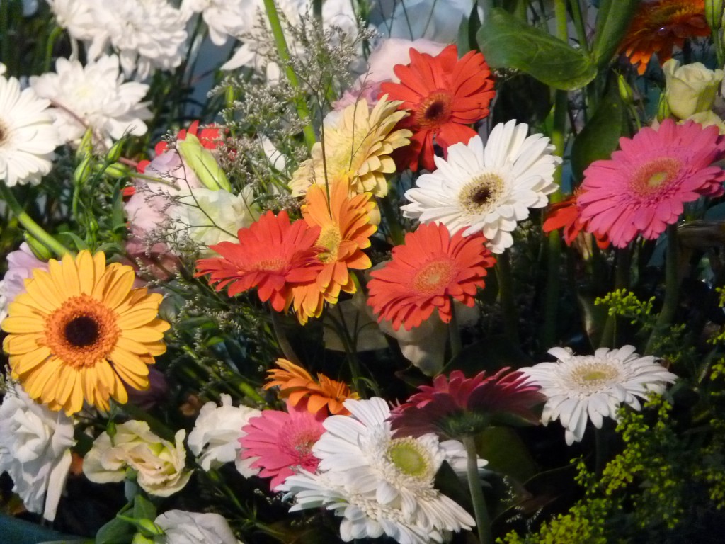 Foto: Exposición floral - Ciudad de Buenos Aires (Buenos Aires), Argentina