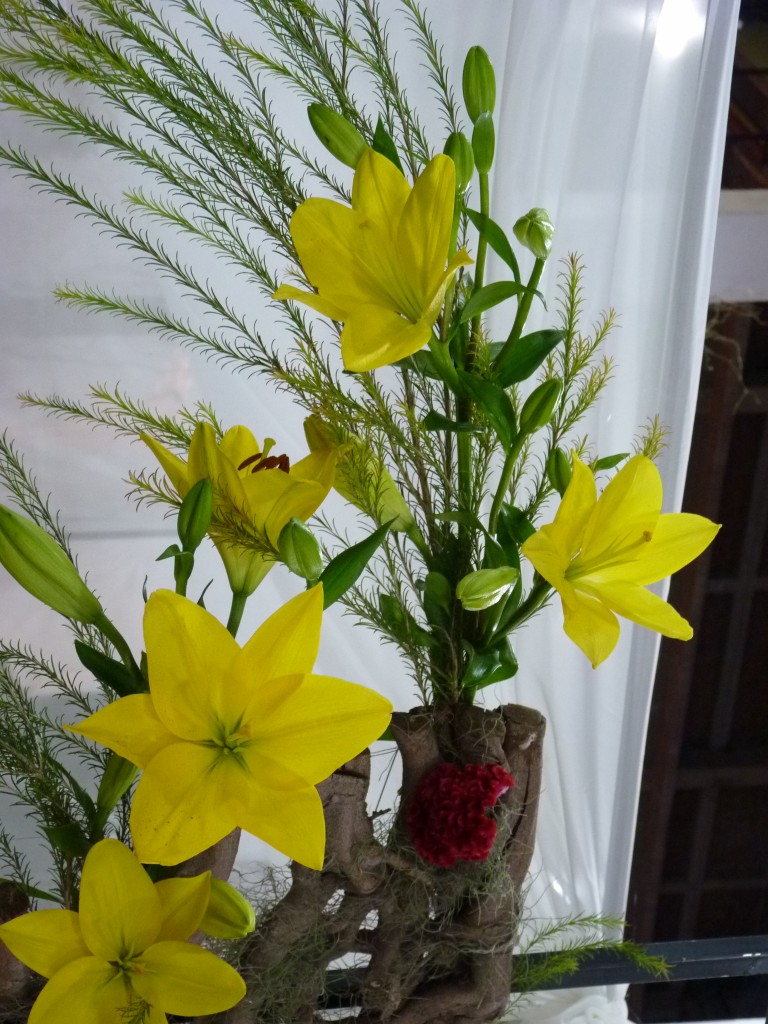 Foto: Exposición floral - Ciudad de Buenos Aires (Buenos Aires), Argentina