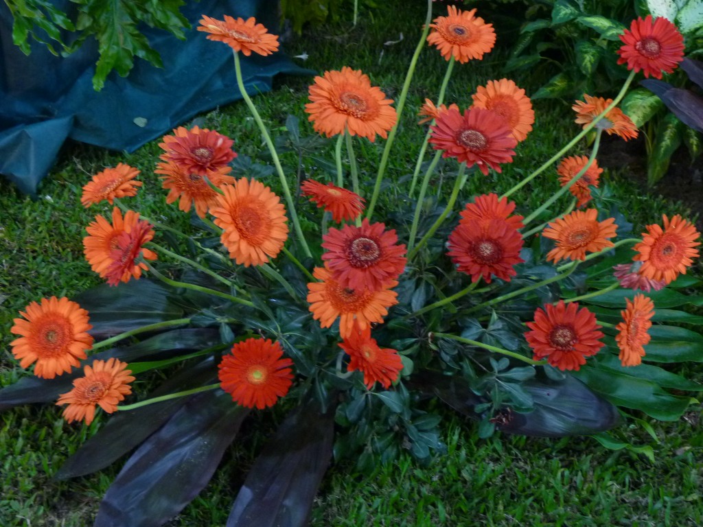 Foto: Exposición floral - Ciudad de Buenos Aires (Buenos Aires), Argentina