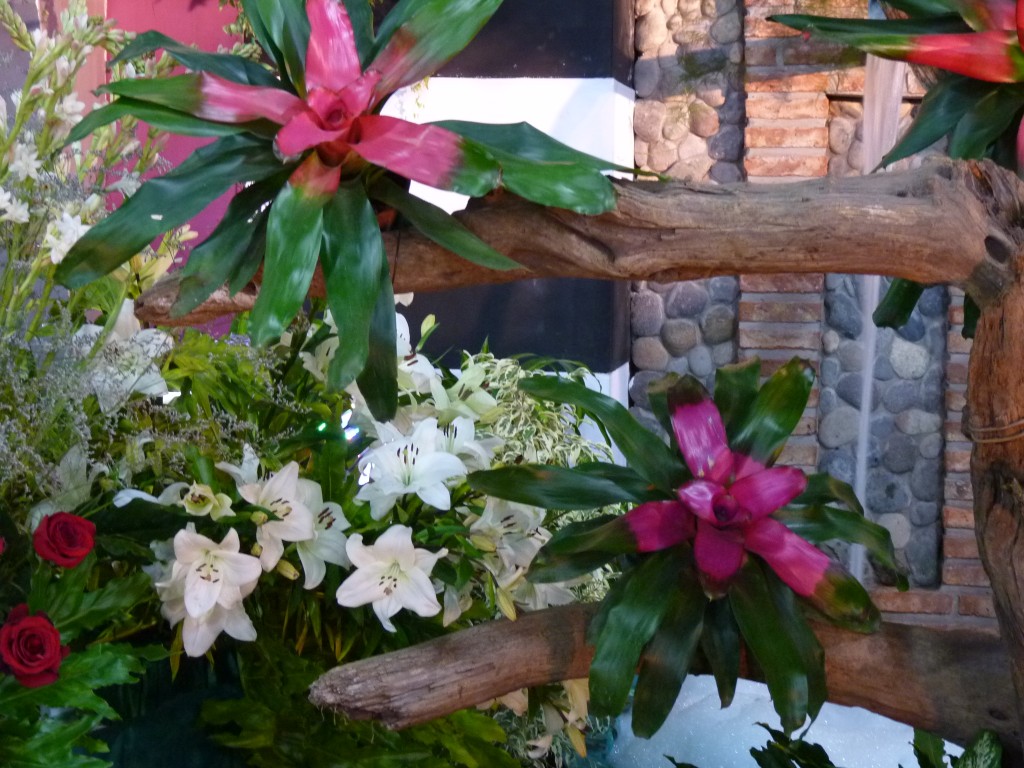 Foto: Exposición floral - Ciudad de Buenos Aires (Buenos Aires), Argentina