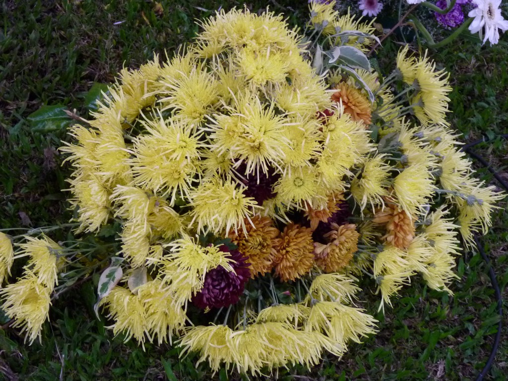 Foto: Exposición floral - Ciudad de Buenos Aires (Buenos Aires), Argentina