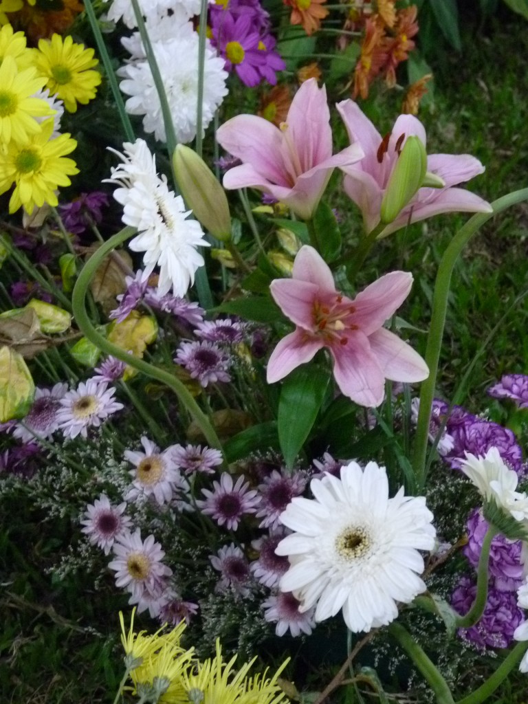 Foto: Exposición floral - Ciudad de Buenos Aires (Buenos Aires), Argentina