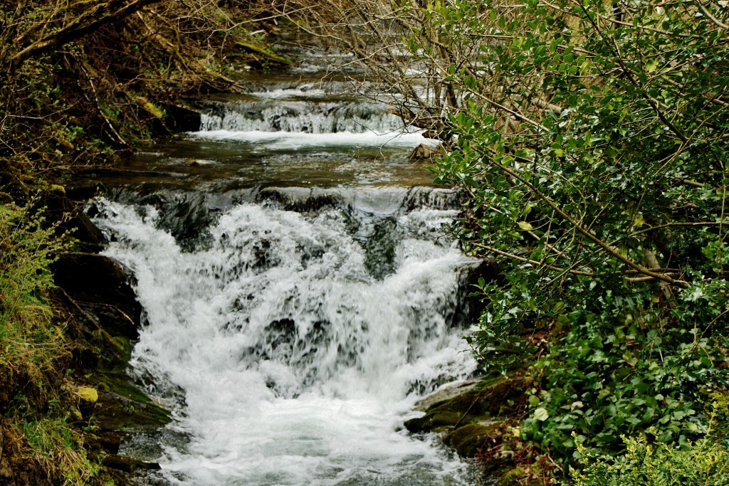 Foto: Afluente del Esca - Uztarroz (Navarra), España