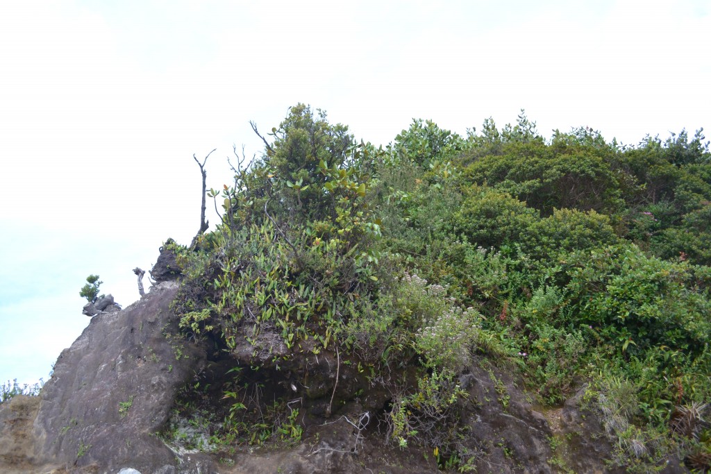 Foto de Volcán Poás (Alajuela), Costa Rica