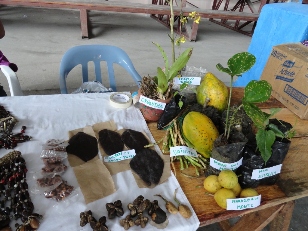 Foto: Atesanias - Simón Bolívar (Mushullacta) (Pastaza), Ecuador