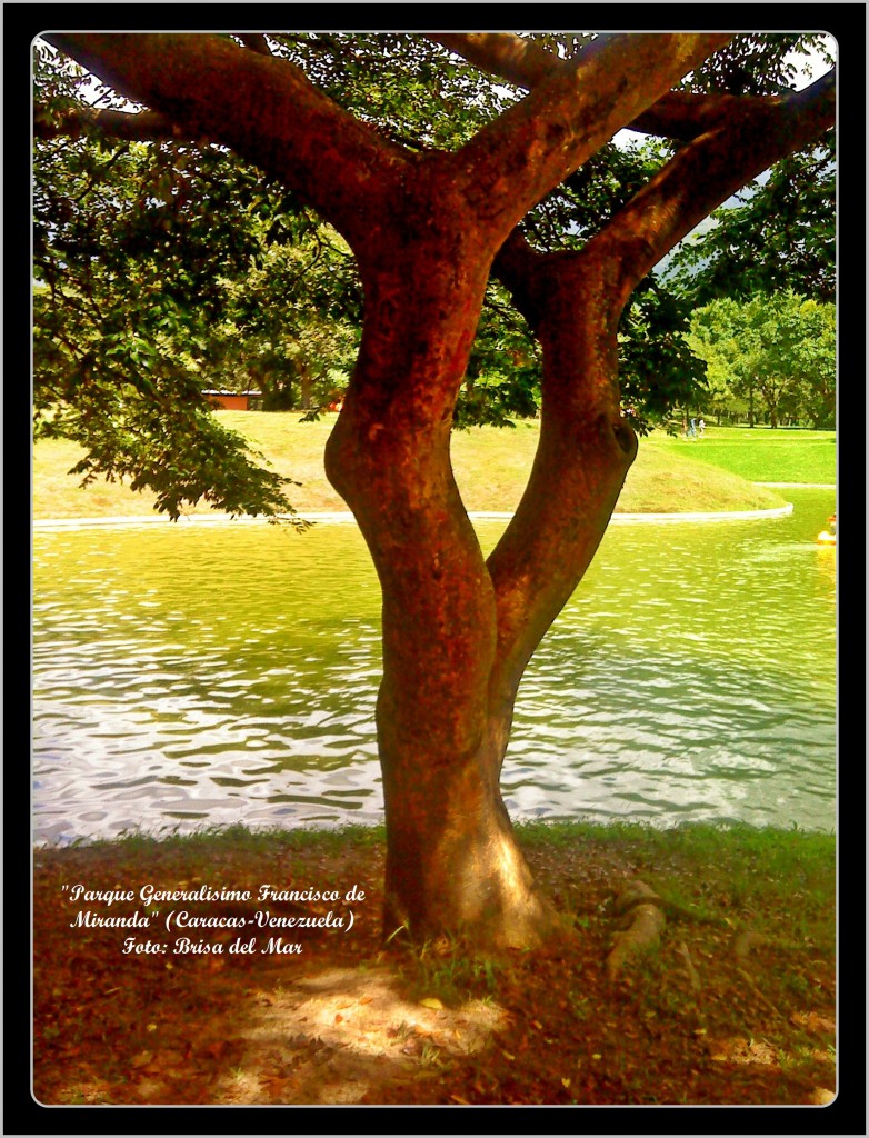 Foto: Parque Generalisimo Francisco de Miranda - Caracas (Distrito Capital), Venezuela