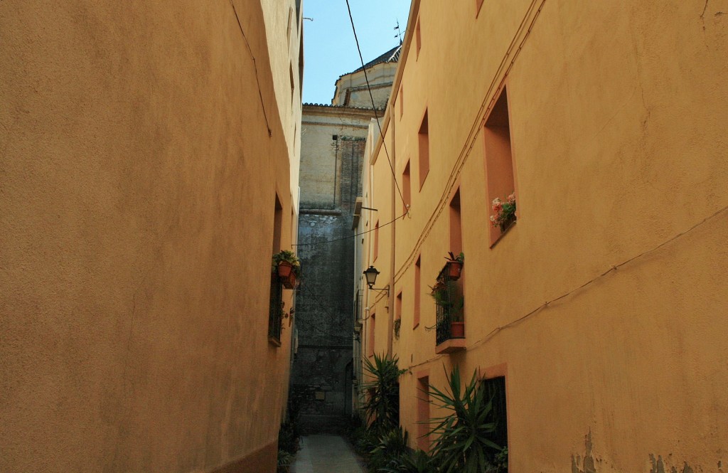 Foto: Vista del pueblo - El Pla de Santa María (Tarragona), España