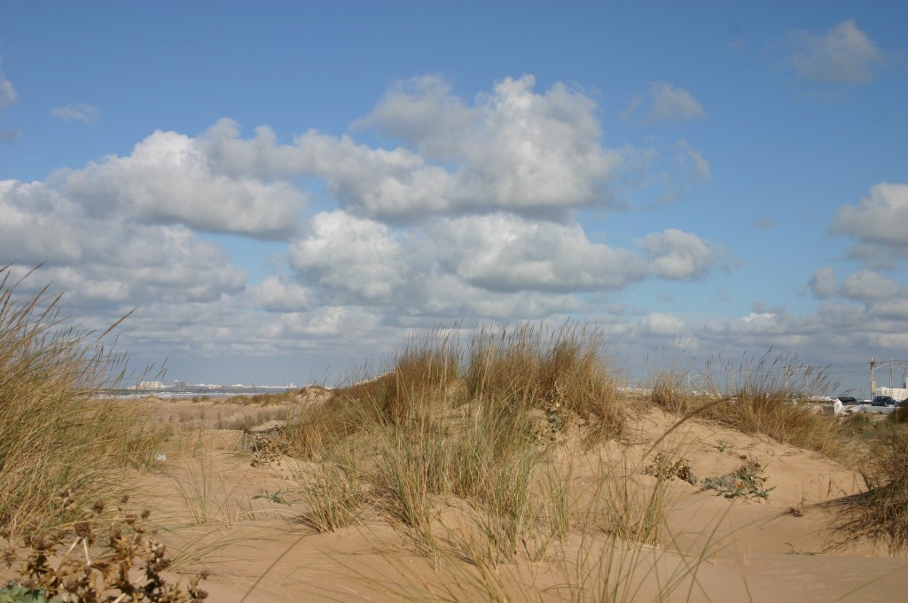 Foto de Cádiz (Andalucía), España