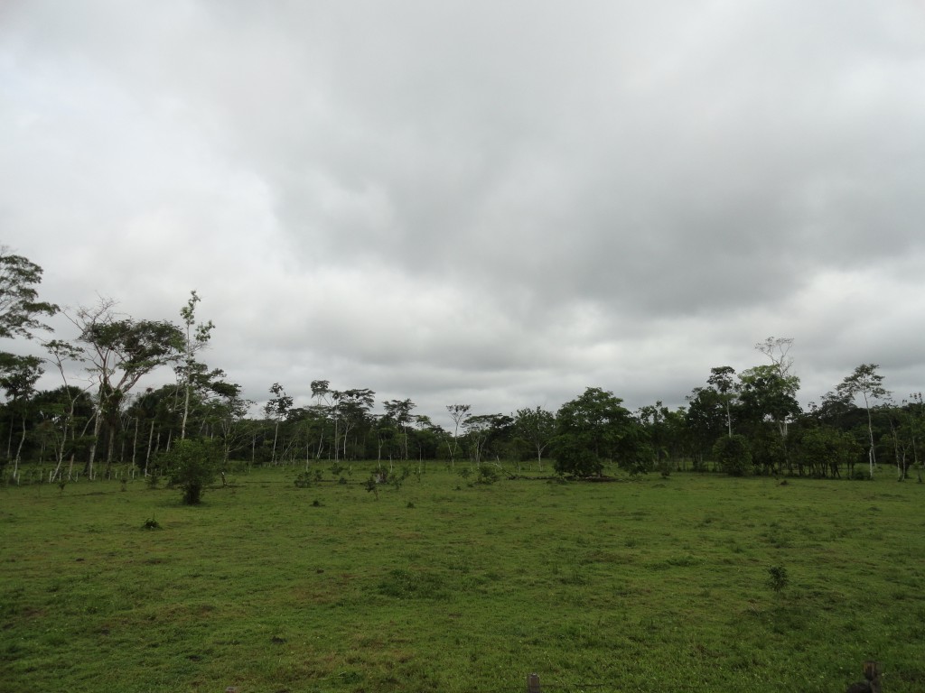 Foto: Paisaje - La Hormiha (Putumayo), Colombia