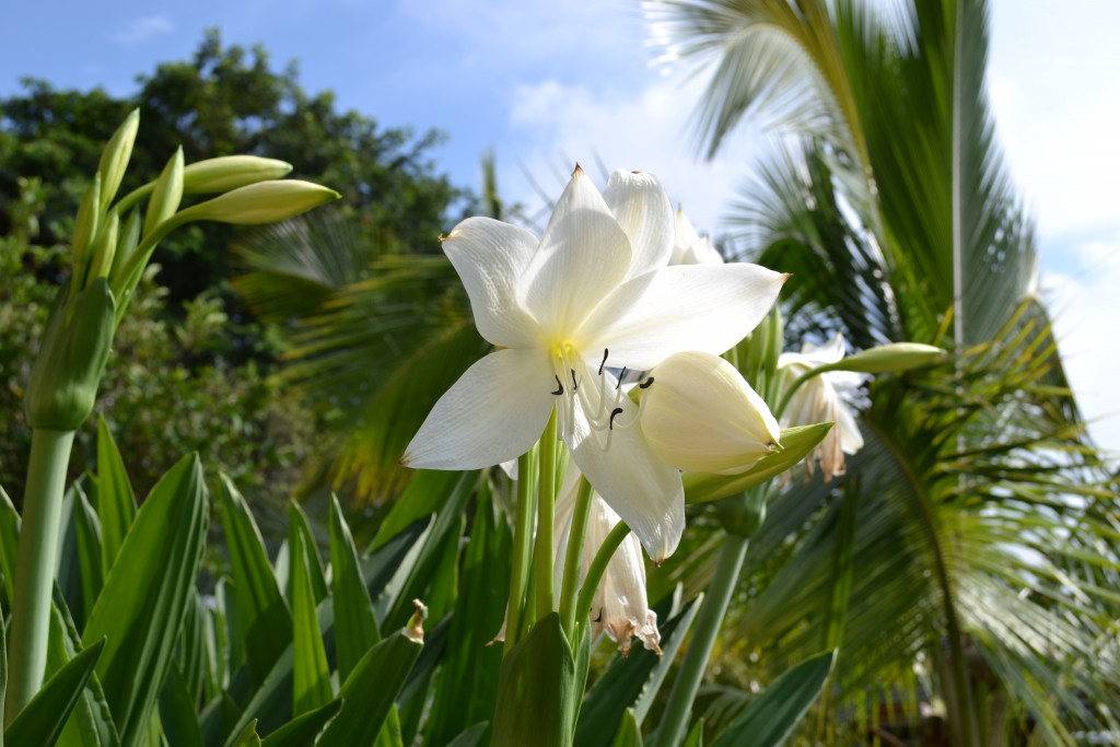 Foto: U.T.N - Alajuela, Costa Rica