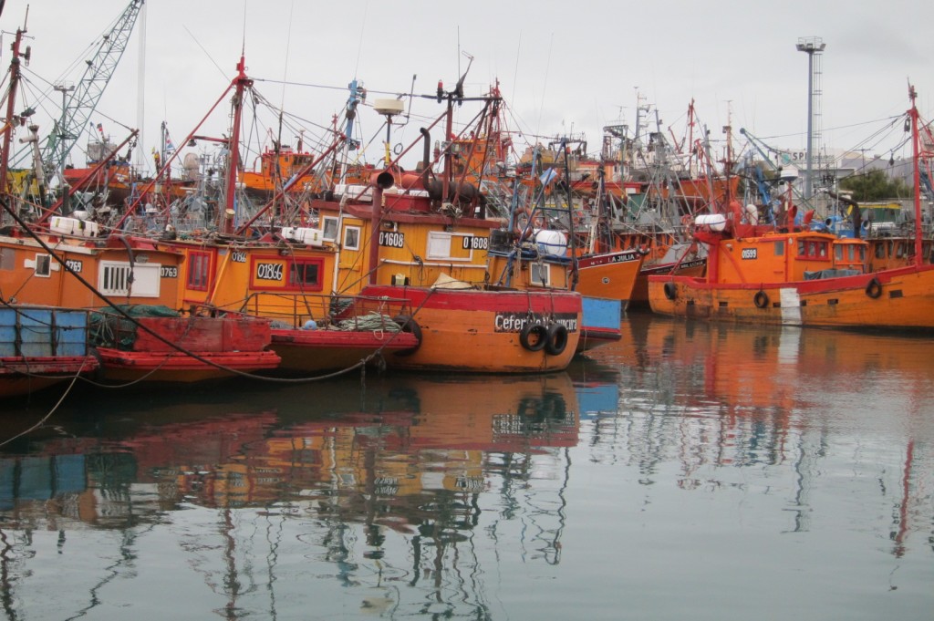 Foto: Puerto - Mar del Plata (Buenos Aires), Argentina