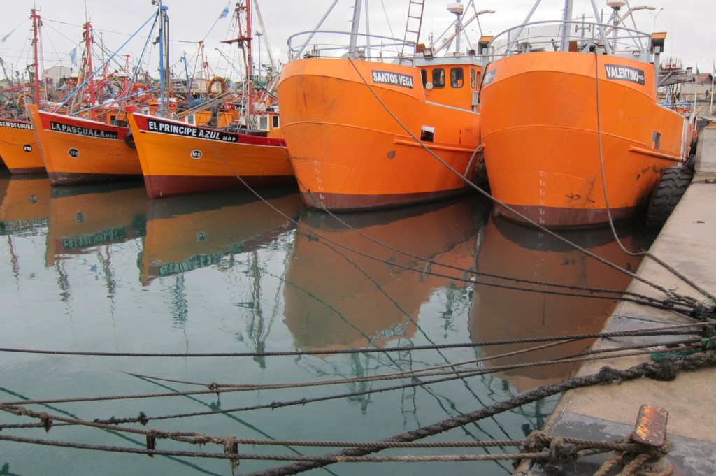 Foto: Puerto - Mar del Plata (Buenos Aires), Argentina