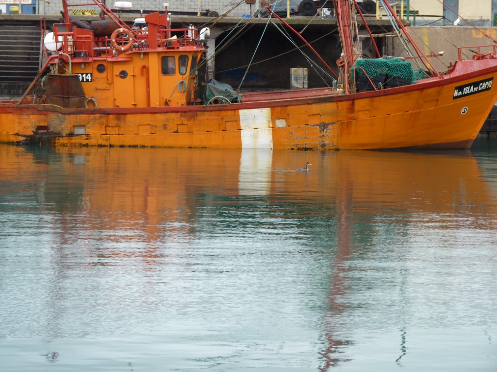 Foto: Puerto - Mar del Plata (Buenos Aires), Argentina