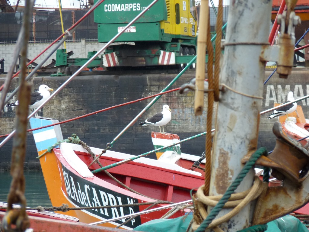 Foto: Puerto - Mar del Plata (Buenos Aires), Argentina