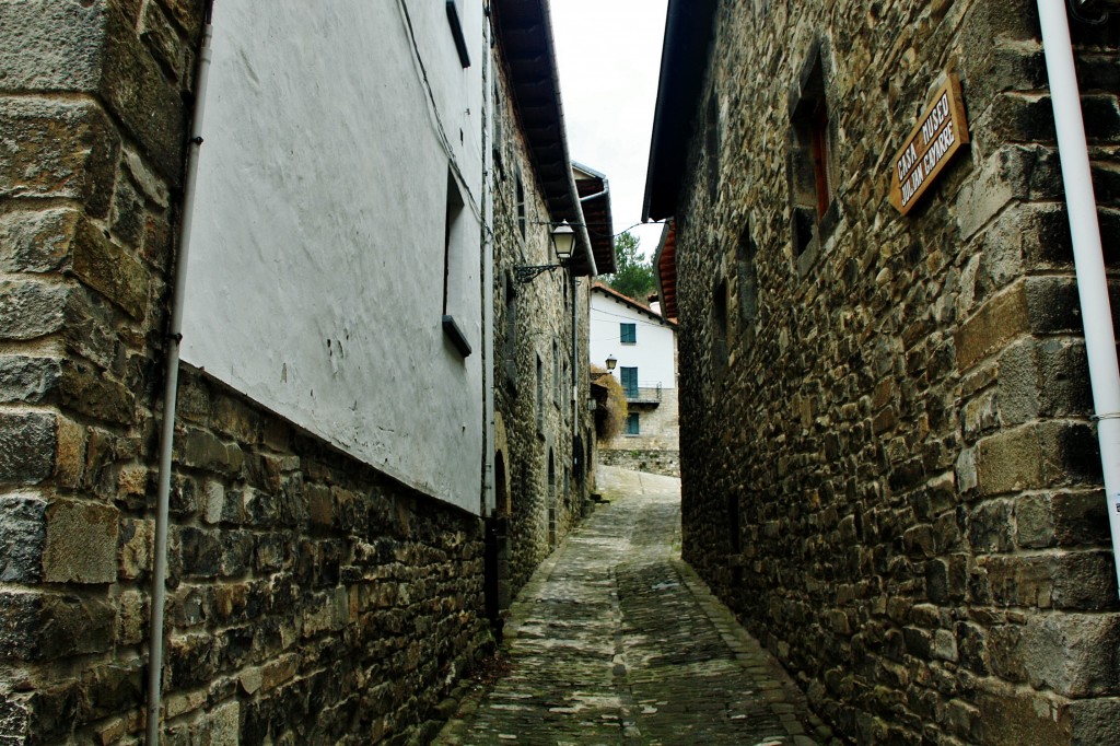 Foto: Vista del pueblo - Roncal (Navarra), España