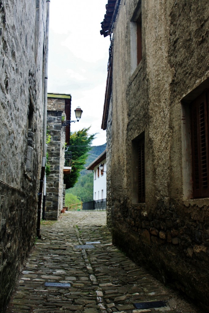 Foto: Vista del pueblo - Roncal (Navarra), España